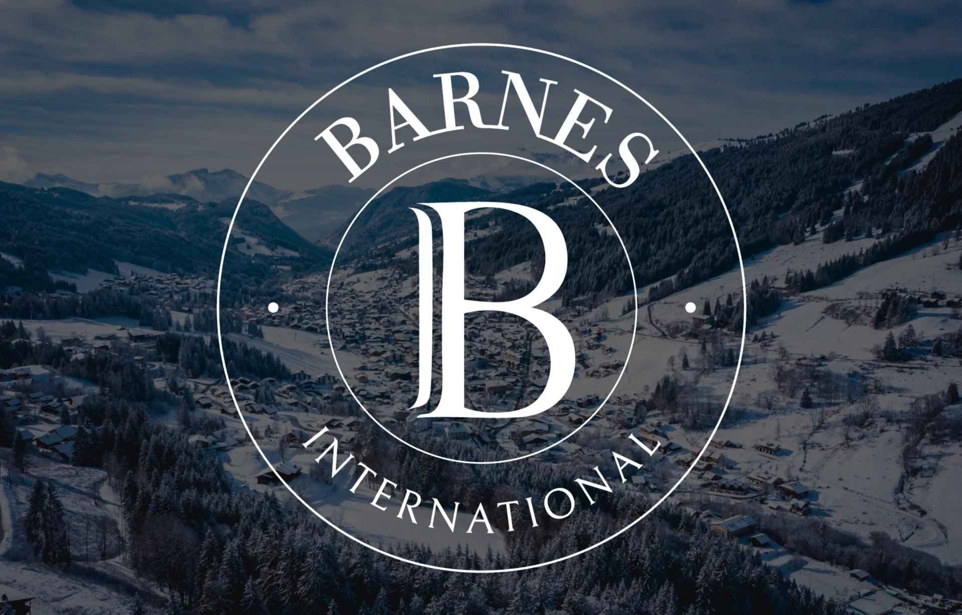 barnes immobilier